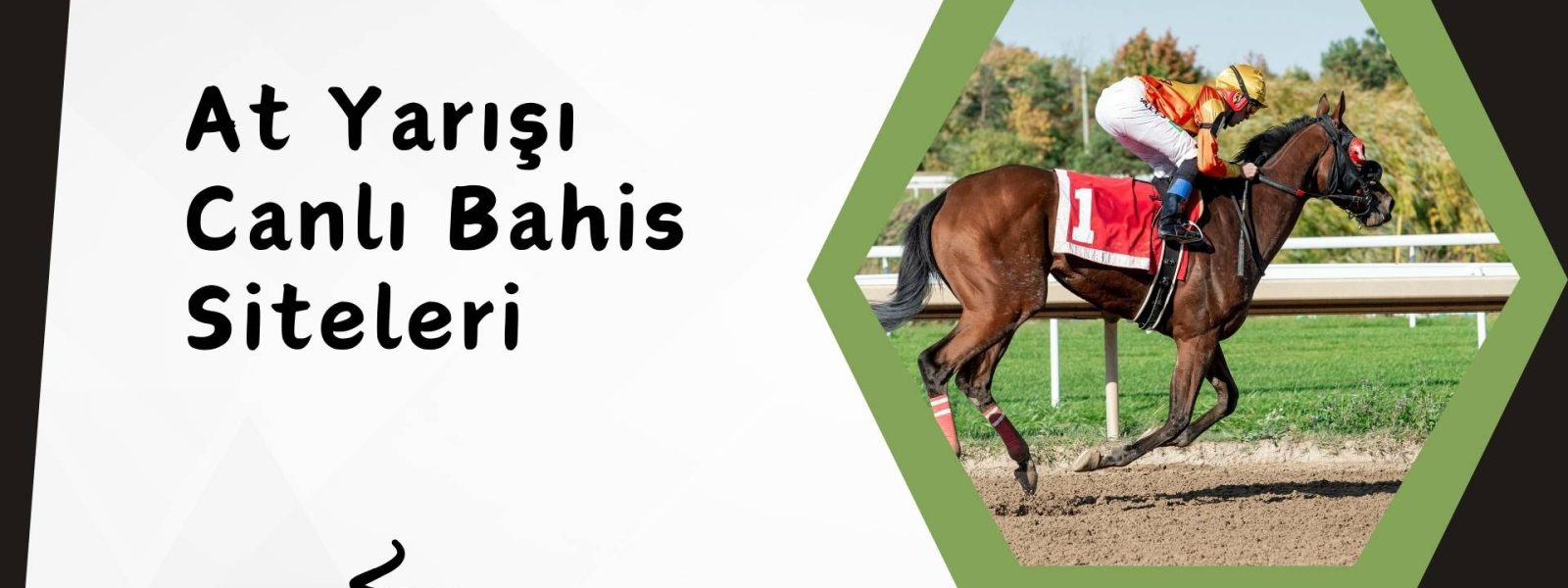 At Yarışı Canlı Bahis Siteleri Bonus Programları